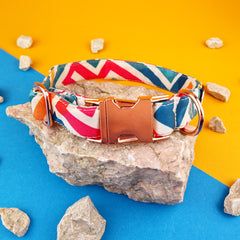 Zgardă Flydog Luxury Pop Art