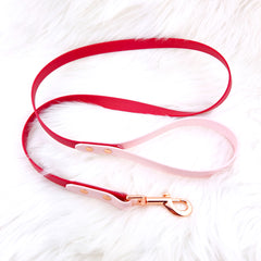 Lesă Colorful DUO Cherry Red & Lila