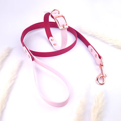 Set Colorful Duo Cherry and Lila