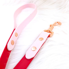 Lesă Colorful DUO Cherry Red & Lila