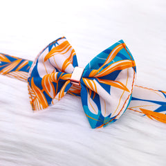 Papion Luxury Hawaii