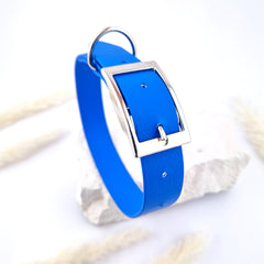 Zgardă Flydog Colorful Blue