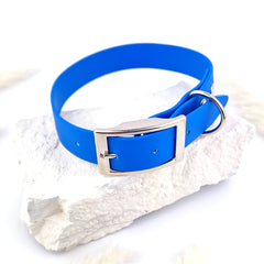 Zgardă Flydog Colorful Blue