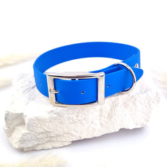 Zgardă Flydog Colorful Blue