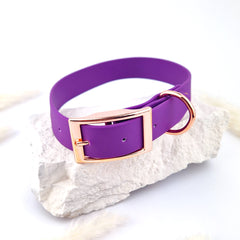 Zgardă Flydog Colorful Purple