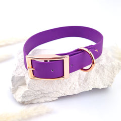 Zgardă Flydog Colorful Purple