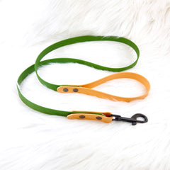 Lesă Colorful DUO Sand & Green