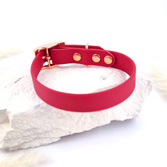 Zgardă Flydog Colorful Cherry