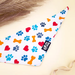 Bandana Flydog Tie On White Paws