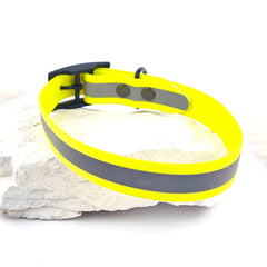 Zgardă Flydog Colorful Flourescent