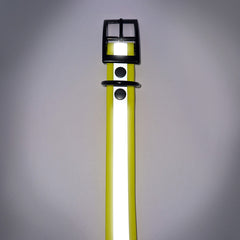 Zgardă Flydog Colorful Flourescent