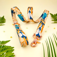 Set Flydog Luxury Hawaii