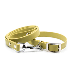 Set Colorful Olive Green