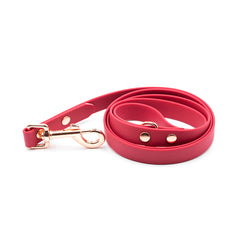 Set Colorful Cherry Red