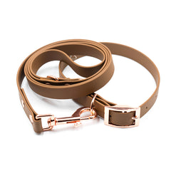 Set Colorful Forest Brown