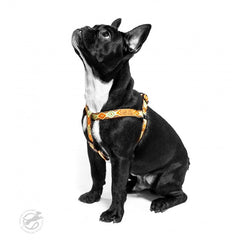 Ham Designer Brown Aztec Pattern