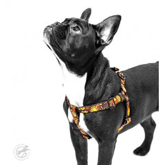 Ham Designer Monstera Gold