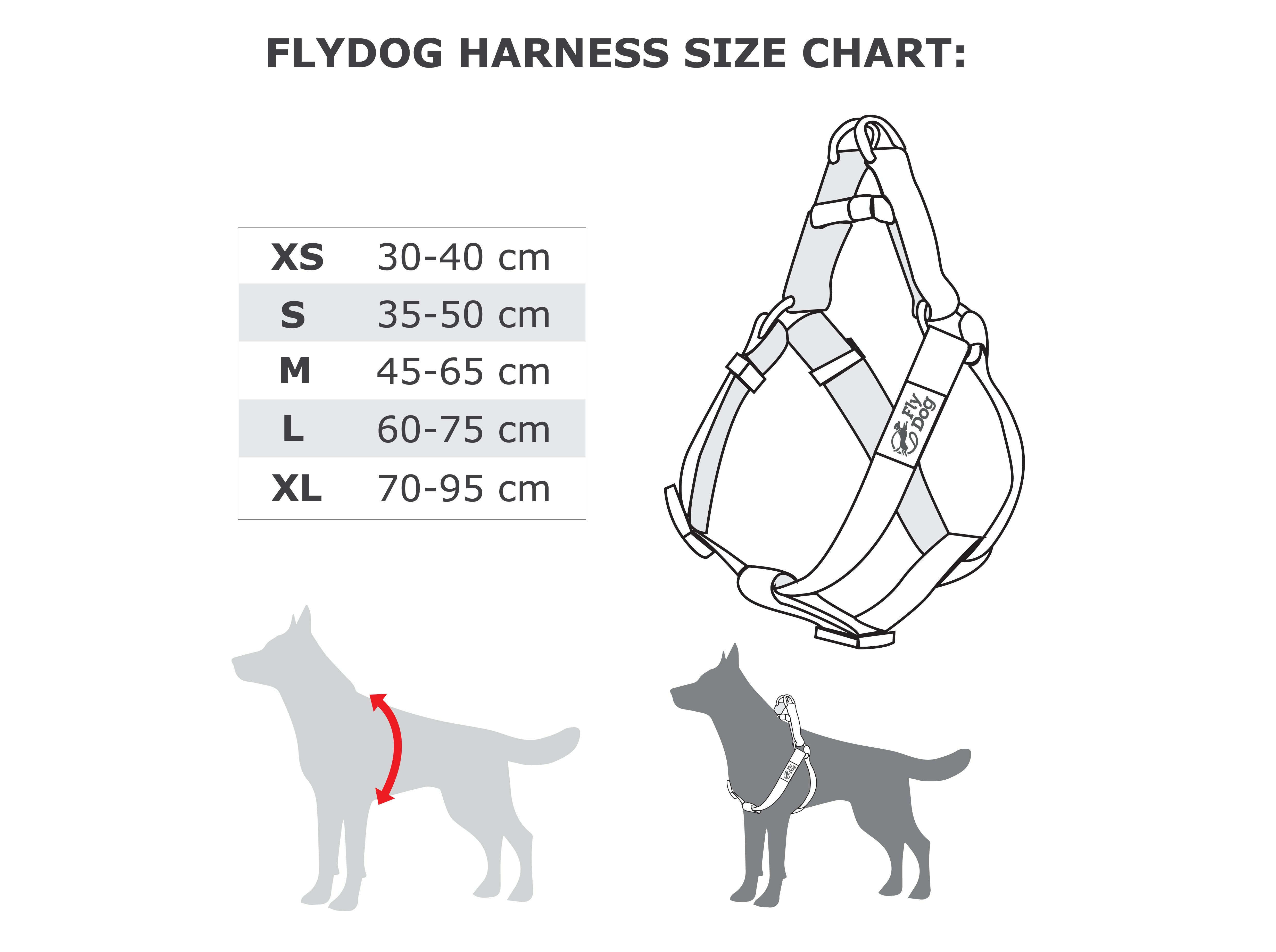 Flydog - Shop