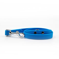 Colorful Ice Blue Leash