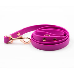 Lesă Colorful Liliac