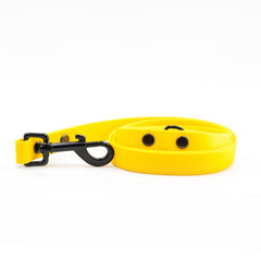 Colorful Yellow Leash