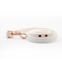 Colorful White Leash