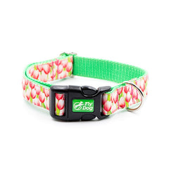 Set Designer Green Tulips