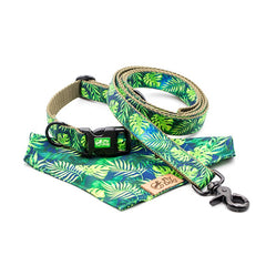 Set Designer Green Monstera