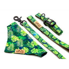 Set Designer Green Monstera