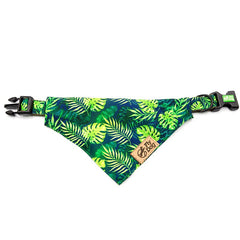 Set Designer Green Monstera