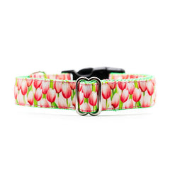 Designer Green Tulips