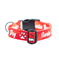 Designer Red Santa Dog