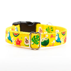 Designer Yellow Summer Vibe